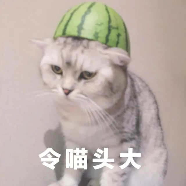 曾经的“沙龙香”之首祖玛珑，如何一步步成为了“街香”？